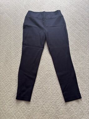 Talbots Dark Navy Ponte Skinny Leg Ponte Pants